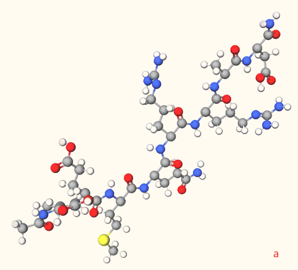 Sammenligning af anti-rynke ingredienser Snap-8 og Botulinum Toxin
